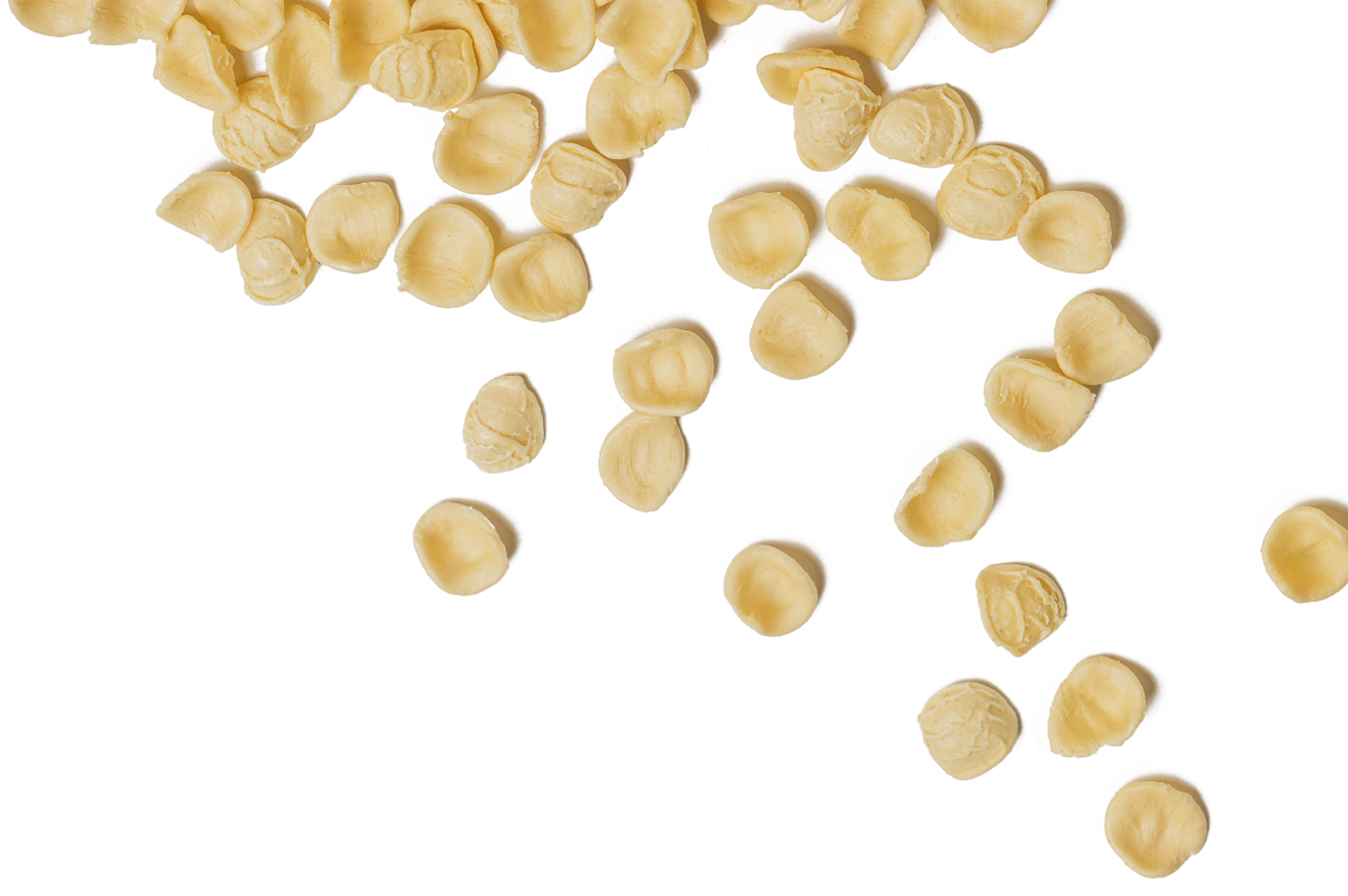 orecchiette